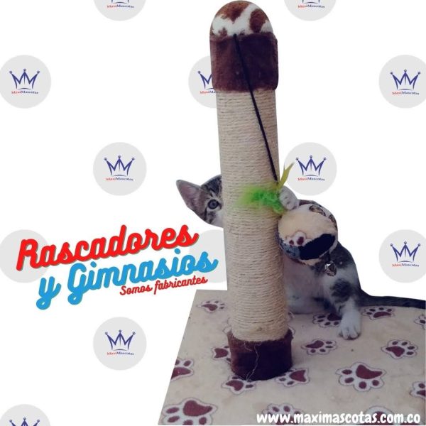 Rascador 30x30